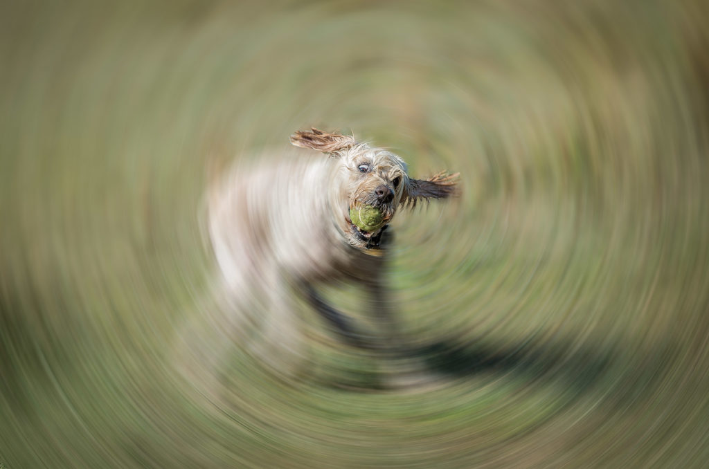 Shutter Count: 43494