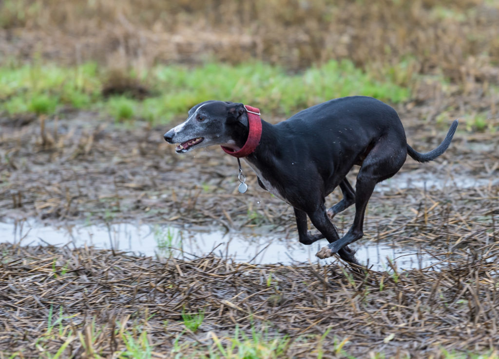 Shutter Count: 150571