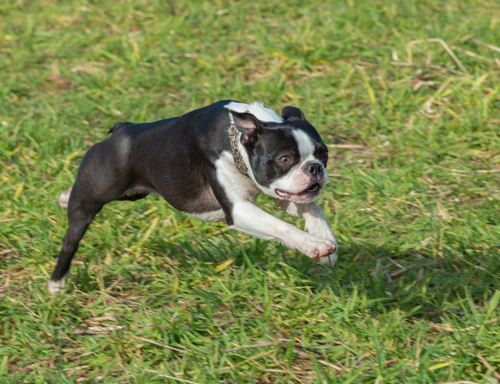 Shutter Count: 175111