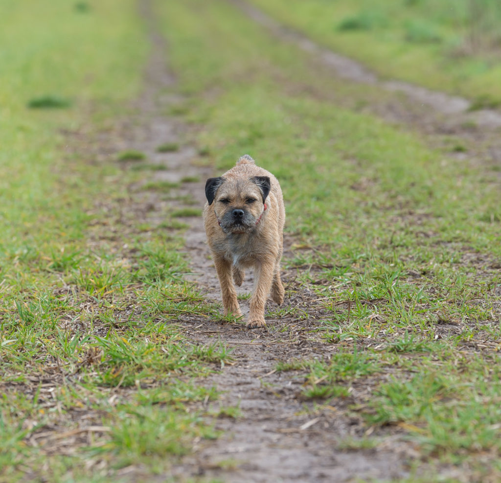 Shutter Count: 177779