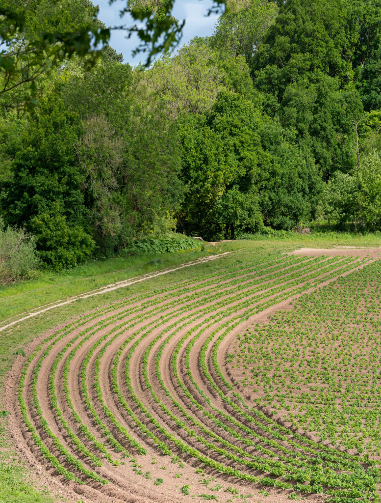 Shutter Count: 182631